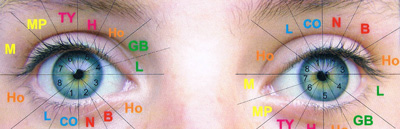 &Oslash;jen zoneterapi